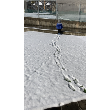 雪遊び